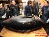 7343219-atum_gigante_mundo_280_420