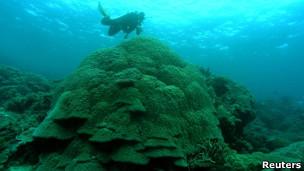 Grande Barreira de Corais, na Austrália (Foto: Reuters)