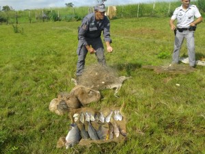 Pesca ilegal em Irapuã