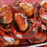 caranguejo uça prato