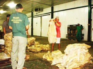 Ibama apreende 3,5 toneladas de pirarucu salgado em Marituba, Pará