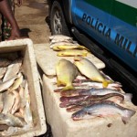 balanço de um mês da Operação Piracema