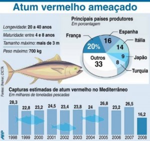 Gráfico com dados sobre o atum vermelho e lista dos principais países produtores.