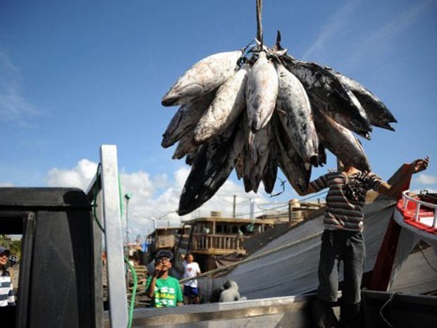 Pescadores trabalham na Indonésia nesta segunda-feira (9). Segundo relatório da FAO, pesca excessiva já afeta 30% das populações de peixes no mundo. (Foto: Sonny Tumbelaka/AFP)